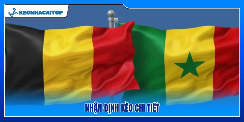 Đánh giá tỷ lệ kèo Bỉ vs Senegal từ góc nhìn chuyên gia 
